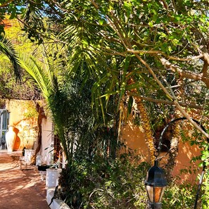 Un jardin avec des plantes en pot, un sentier et un mur sur lequel est fixé un lampadaire.