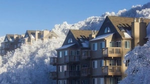 A row of multi-story buildings with balconies, surrounded by snow-covered trees.