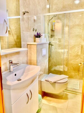 Douche, séchoir à cheveux, serviettes fournies