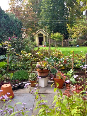 Property grounds - Saratoga, Belmont historic in-town home rental. Walk to track and downtown. (Saratoga Springs)