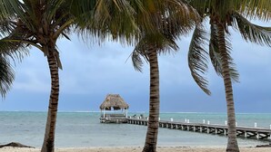 A beach with a thatched hut on a pier, palm trees, and calm sea. - Beautiful 5 bedroom beachfront villa with private pool just 2.5 miles from town (San Pedro)