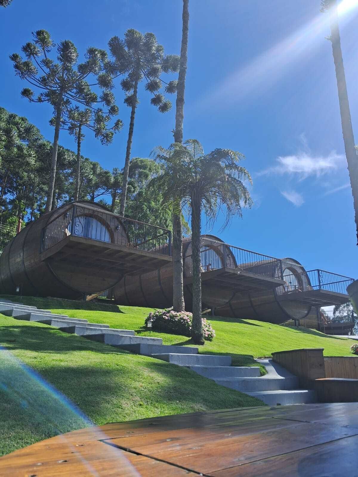 Una estructura arquitectónica moderna con techo curvo y fachada de vidrio, rodeada de palmeras y un césped cuidado.