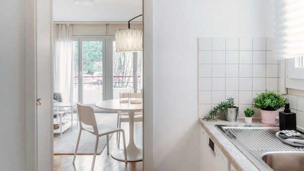 A modern kitchen with a stainless steel sink, potted plants, and a dining area with a white table and chairs. - Pink Flat  (Chiasso)