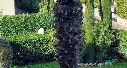 Magnolia Ferienwohnung - 50 m vom See