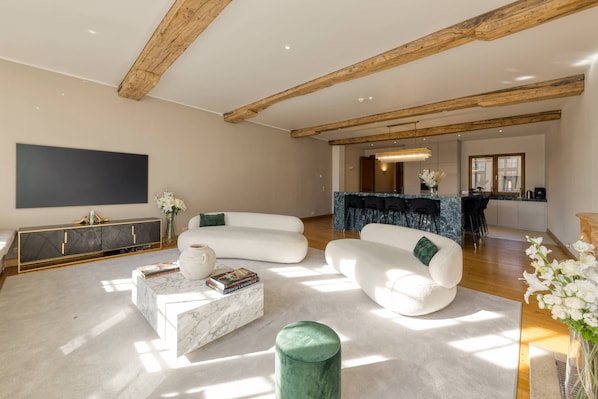 Leilighet – president | Oppholdsområde | Smart-TV, peis, Netflix og strømmetjenester