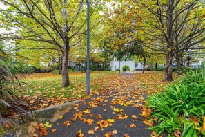 Property grounds - Gateway Apt in Kingston Central! (Kingston)