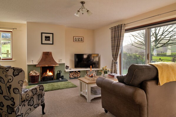 TV, fireplace, DVD player