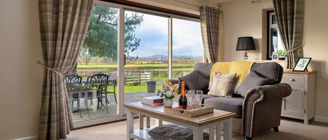 TV, fireplace, DVD player