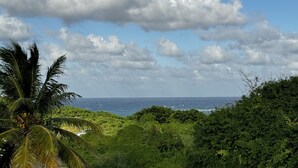 A grassy area with a view of the ocean and a palm tree. - Spacious Lailamar Villa with Pool & Bar, Ocean View - Ground Floor (St. Philip)
