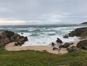 海滩