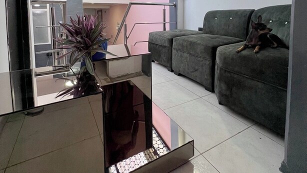 A modern living room with a glass coffee table, a grey sofa, and a small dog. - Total Confort y Tranquilidad! Apartamento Deluxe Donde Anita (Florencia)