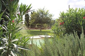Relax by the serene pool surrounded by lush greenery and various plants.