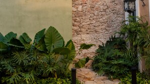 Um deck de madeira com parede de pedra e vegetação tropical exuberante.