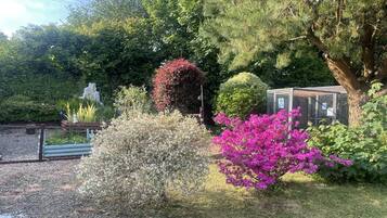 Cabin | Property grounds