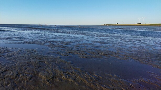 A beach with wet sand and calm water, distant wind turbines, and a clear sky.