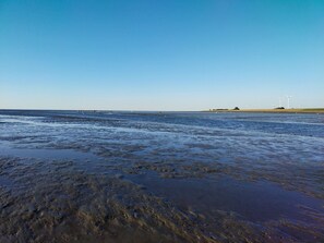 A beach with wet sand and calm water, distant wind turbines, and a clear sky.