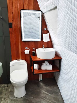 Eco-friendly toiletries, towels, soap, shampoo