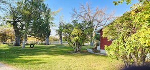 المنطقة المحيطة بالمنشأة