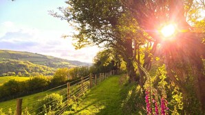 A rural landscape with a grassy path, a wooden fence, and flowering plants. - A stone cottage that sleeps 4 guests in 2 bedrooms (Combe Martin)