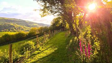 Parco della struttura