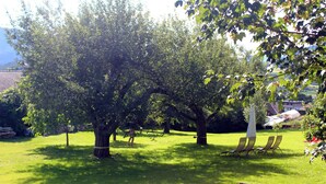 Un espace extérieur verdoyant, avec des arbres et quelques chaises longues.