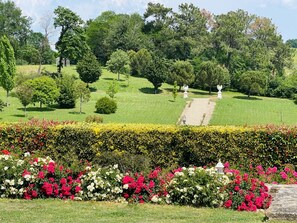 Property grounds - `Venise` - luxurious apt on boutique wine estate (Fougueyrolles)