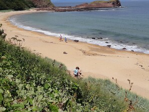 A beach with clear skies, rocky cliffs, and vegetation. - Beautiful renovated Stone Cottage with enclosed Garden and Free Wifi. (Berwick-upon-Tweed)