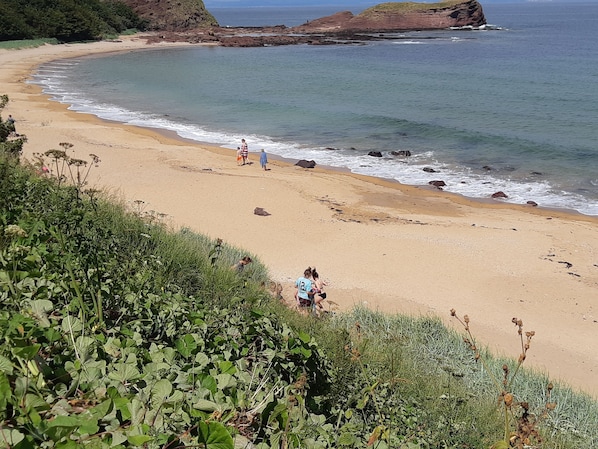 Playa