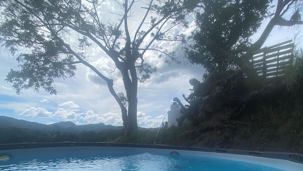 A swimming pool with clear blue water, surrounded by trees and a view of distant mountains.