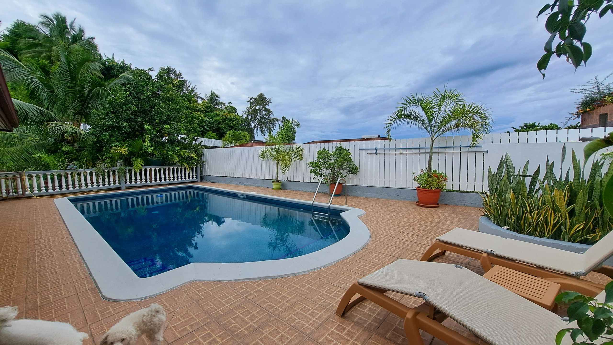 A swimming pool with a white deck, surrounded by potted plants and a white fence.