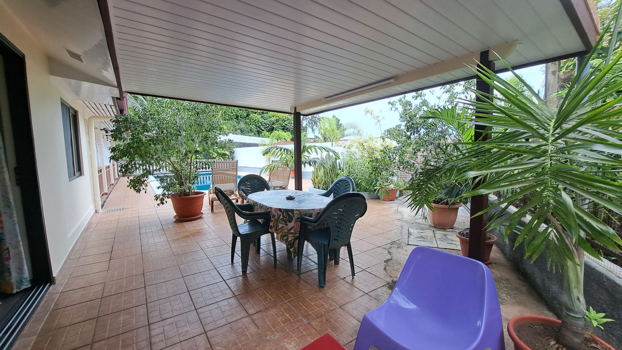 Ein überdachter Patio-Bereich mit Tisch und Stühlen, umgeben von Topfpflanzen.