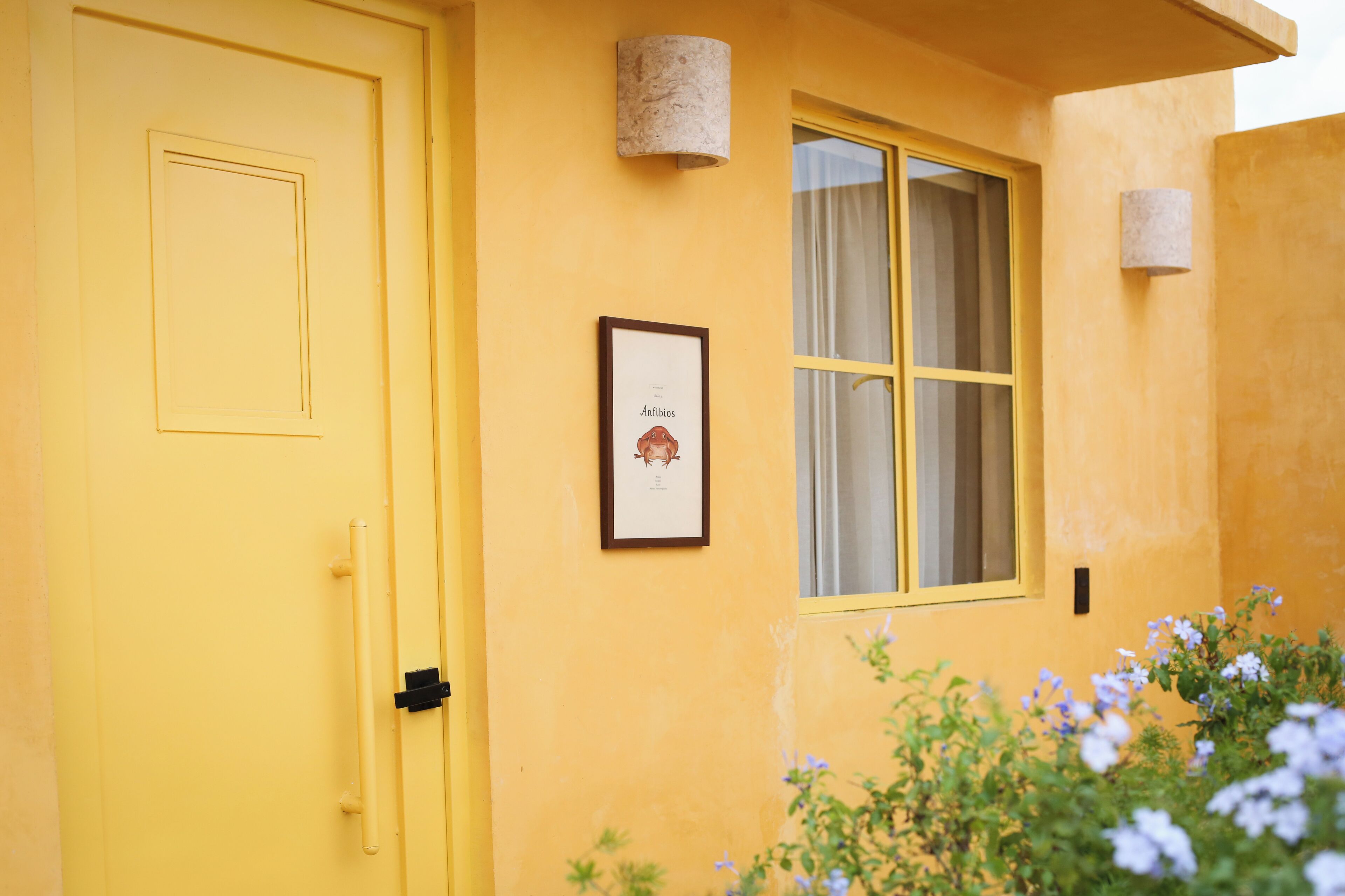 Foto - Kuka y & Letras