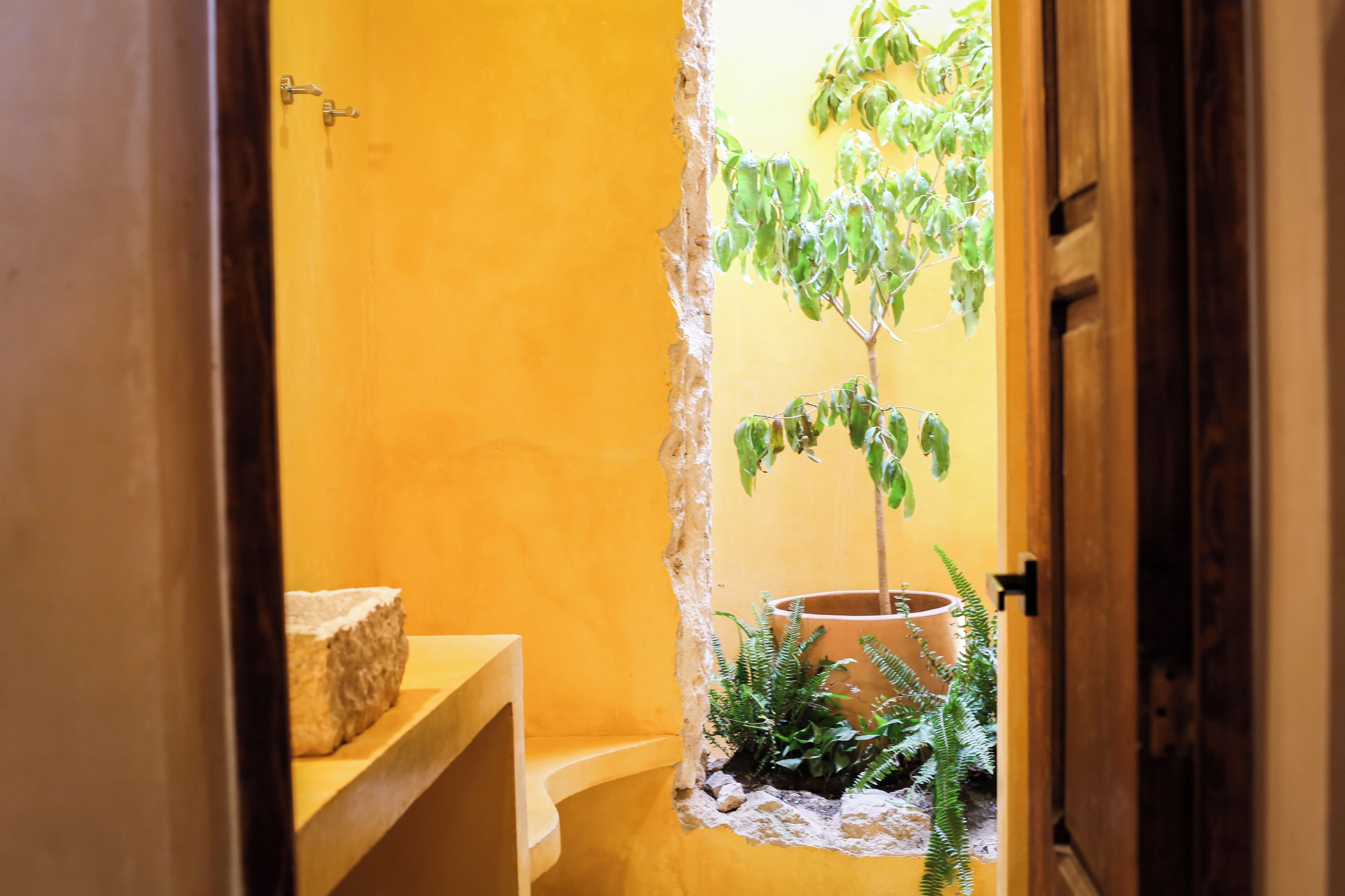 Habitación doble de lujo | Baño | Regadera, amenidades de baño gratuitas, secadora de cabello, toallas 