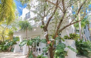 Área da propriedade