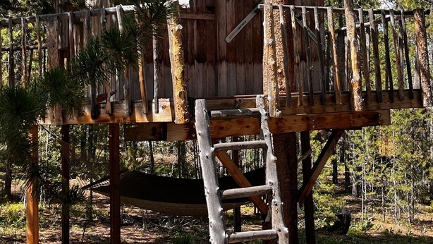 Une cabane en bois rustique, surmontée d’un toit en métal et construite sur pilotis, au cœur d’une zone boisée.