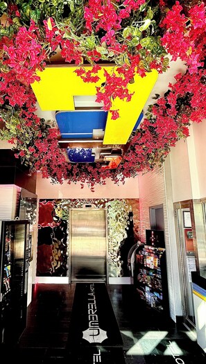 Lobby - Umbrella Hotel (Bronx)