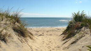 A sandy beach with dunes and a clear view of the ocean. - Beach Getaway - Spacious Katama Beach House (Edgartown)