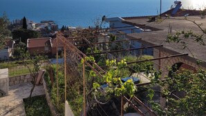 Un quartier résidentiel situé sur la côte, offrant une vue sur la mer, avec un jardin où poussent des vignes et une clôture en métal.