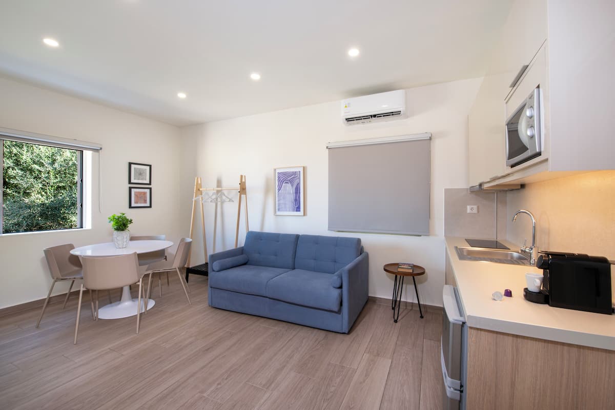 Suite Executive, 1 letto king con divano letto | Area soggiorno | TV a schermo piatto 40 pollici con canali satellitari