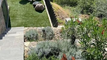 A stone staircase leading to a lush garden with a view of a forested hillside.