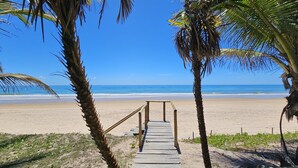Un sentier en bois mène à une plage bordée de palmiers de chaque côté.