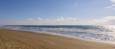 海滩