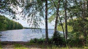 A serene lakeside scene with birch trees and a calm body of water. - Koivula Fish Cottage (Sulkava)