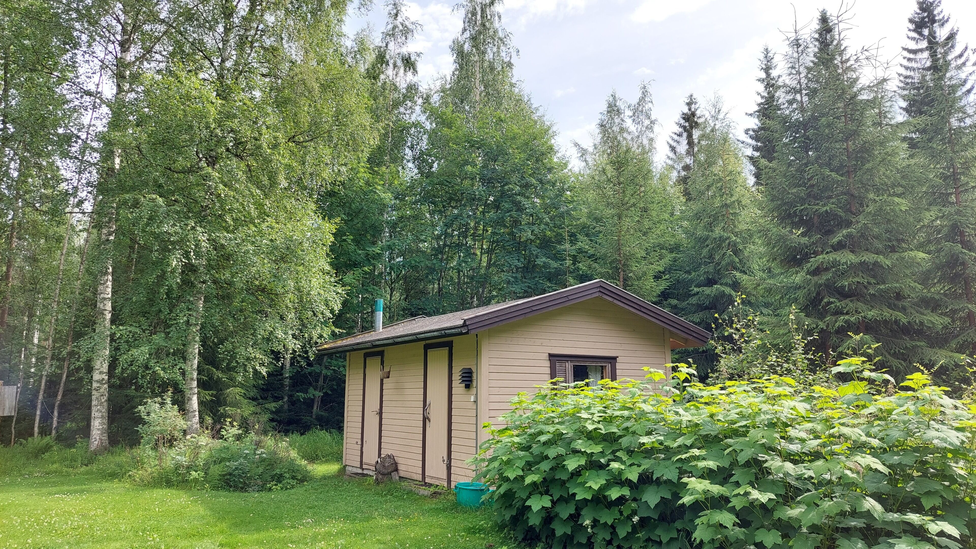 A small wooden cabin surrounded by dense forest.