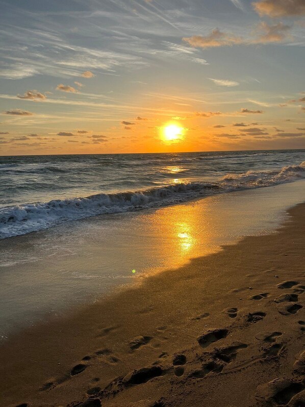 サンラウンジャー、ビーチタオル