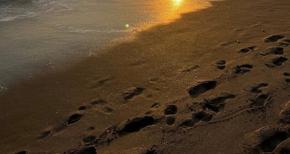 “The Mango House” Family Paradise - Close to Beach/METS/PGA