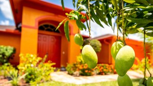 Ein Gebäude mit roter Tür und einem Garten voller grüner Mangos.