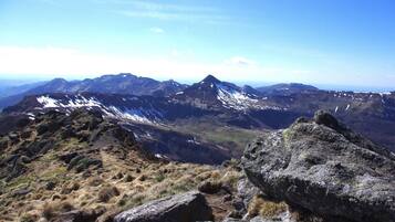 Shower, hair dryer, toilet paper