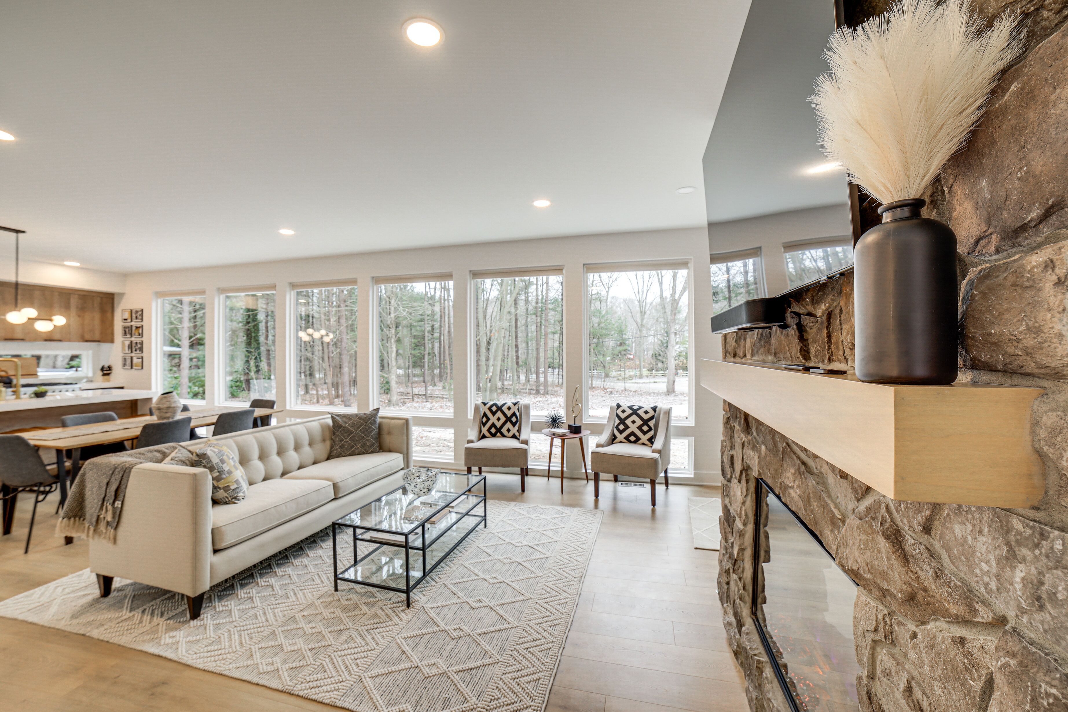 TV, fireplace