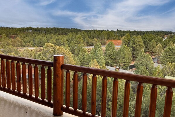 Property grounds - Dog-friendly getaway with washer/dryer, electric fireplace, balcony, & AC (Show Low)